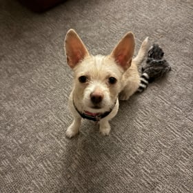 Minnie
