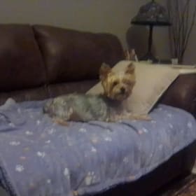 Mollie