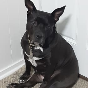 Mika
