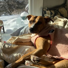 Daisy Mae