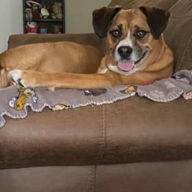 Bella