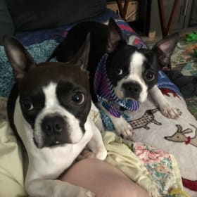 SweetPeaNGidget