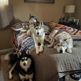 Sapphire Athena Dante Gus