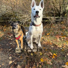 Ivy and Micah