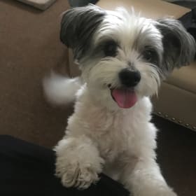 Sophie