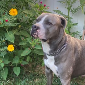 Roscoe