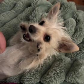 Rowena