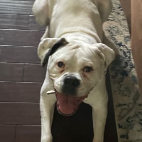 Winnie