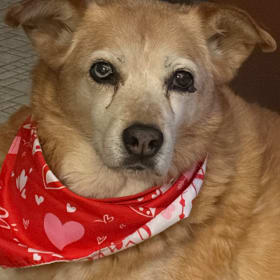 Tilly