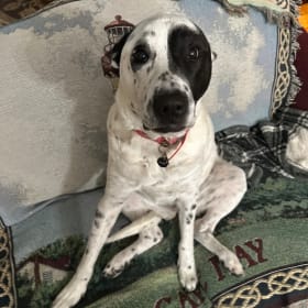 Minnie Marshmallow Sprinkles