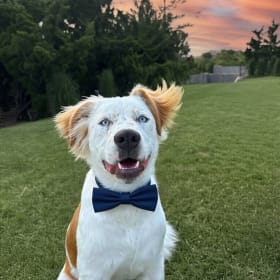 reggie