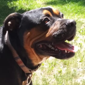 OTIS