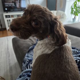Baxter