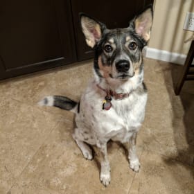 Zoey