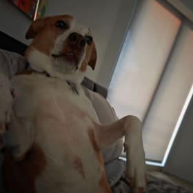 Lola