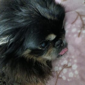 Cosmo