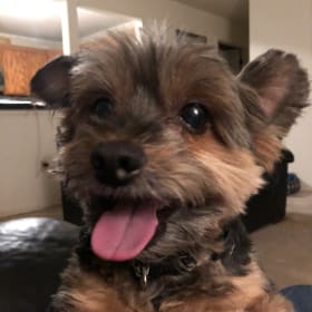 Jax