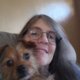 Gizmo