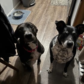 Skye and Cooper