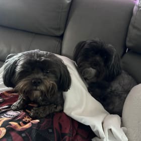 Coco and Peanut