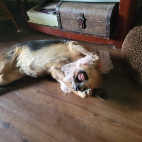 Kona