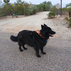 Max