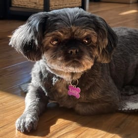 Lucy