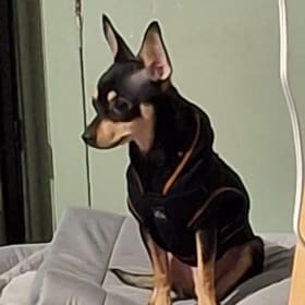 Dexter