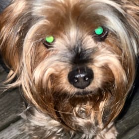 Benson