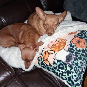 CRICKET AND GINGER