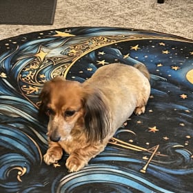 Lucy