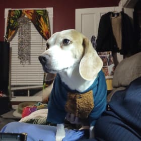 Buddy