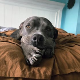 Kona