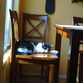 CatMom