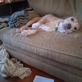 Fiona