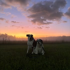 Bo and Chewiee