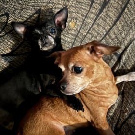 Sadie may and siggy lou