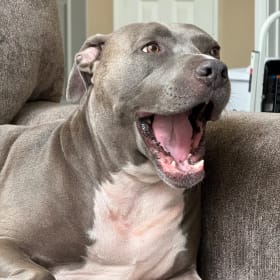 Bebop