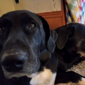 Sissy and Izzy