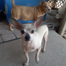Bambi and Carlos