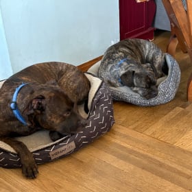 Charlie and Bootie