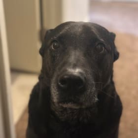 Axel