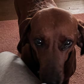 Zoey