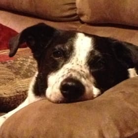 Clyde
