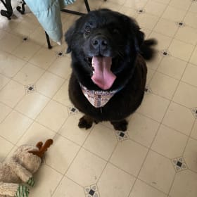 Sampson