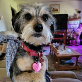 Lucy