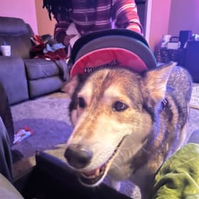 Kora
