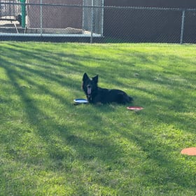 George
