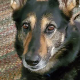 Tasha