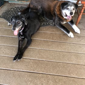 Sadie and Einstein
